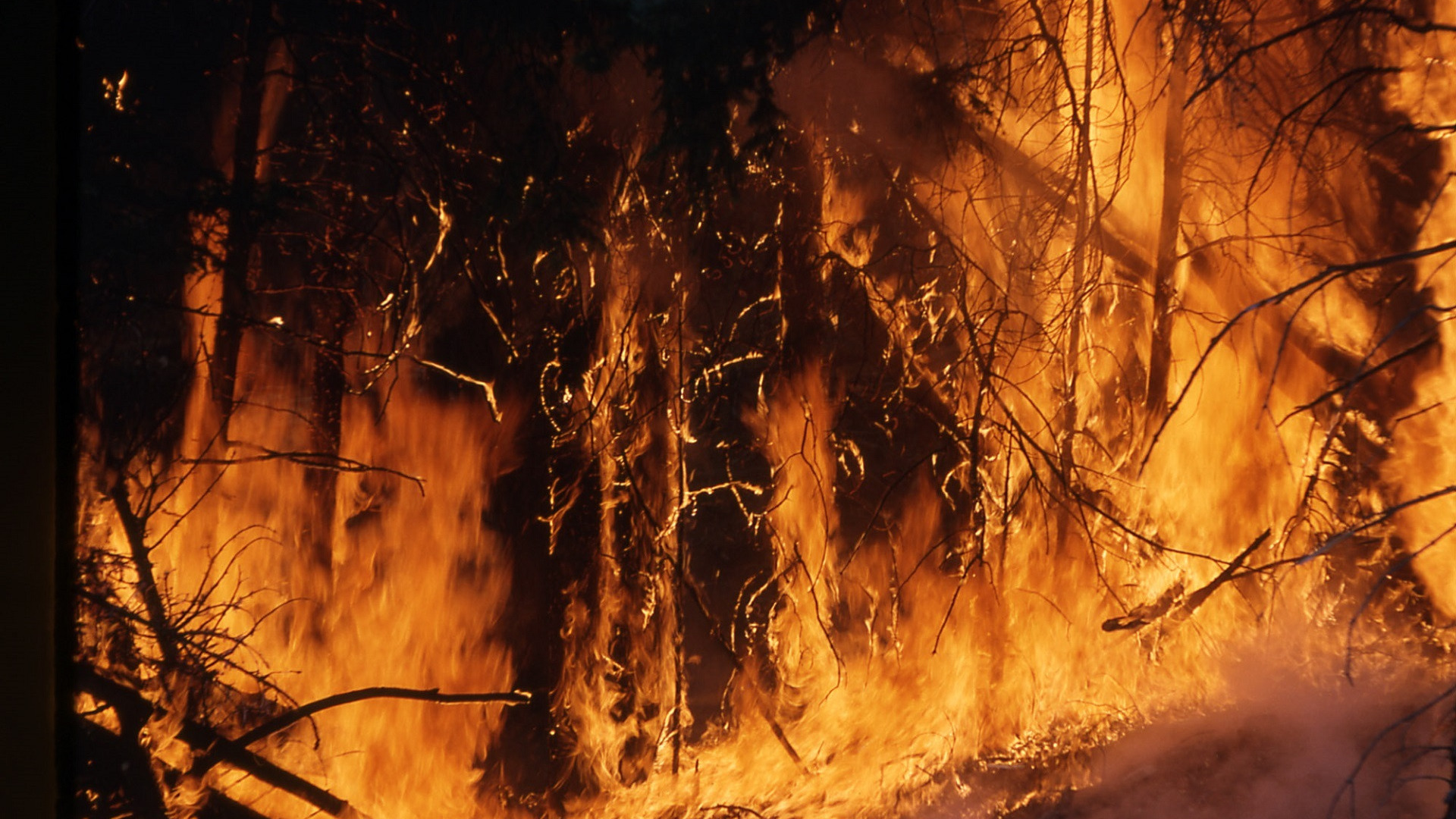 В ХМАО площадь лесных пожаров выросла в пять раз