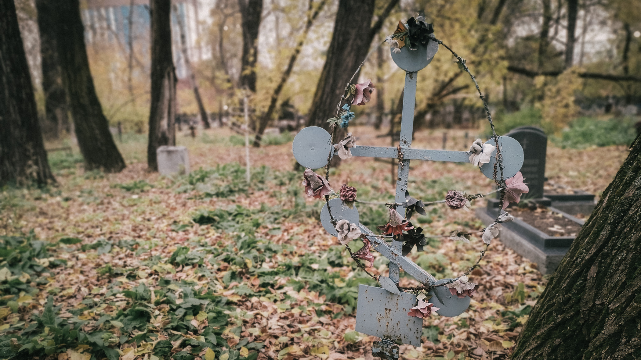 В Мурманске на кладбищах заканчиваются места