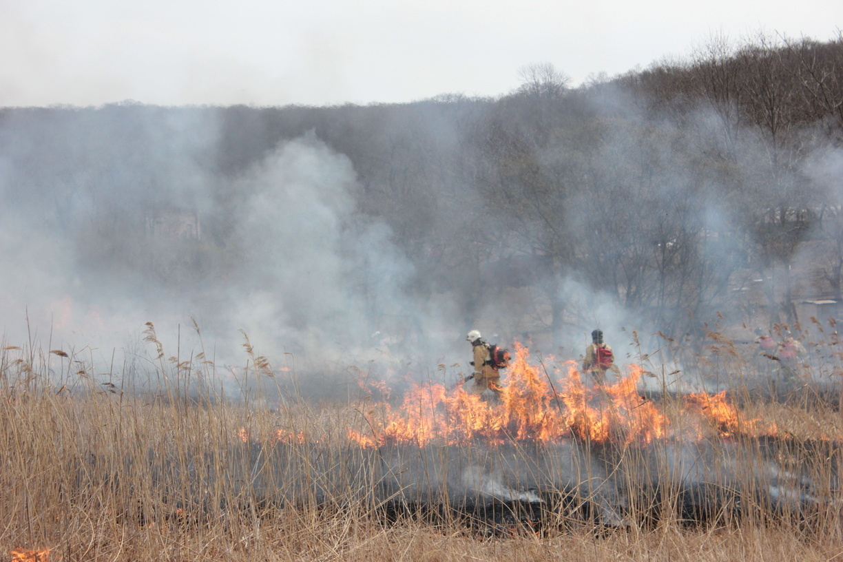 Запах гари в Югре власти объясняют лесными пожарами из соседних регионов