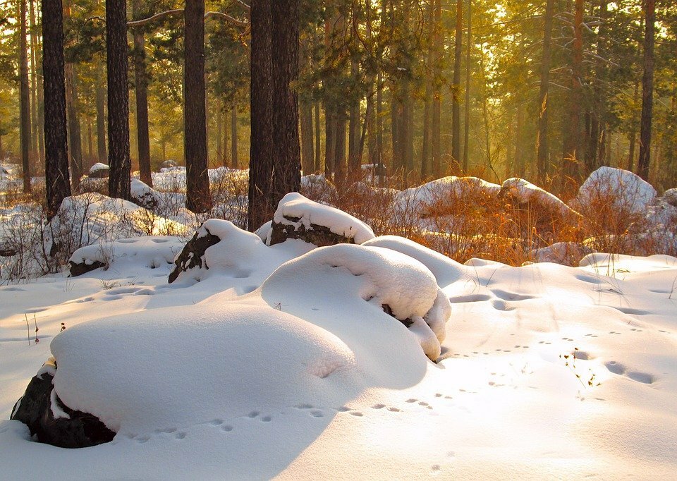 В середине декабря в Архангельской области установится тёплая погода
