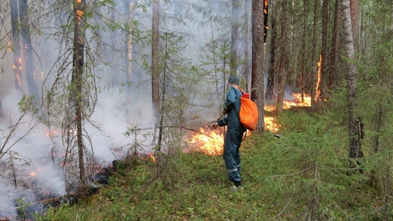 Губернатор ХМАО отменила режим ЧС из-за лесных пожаров
