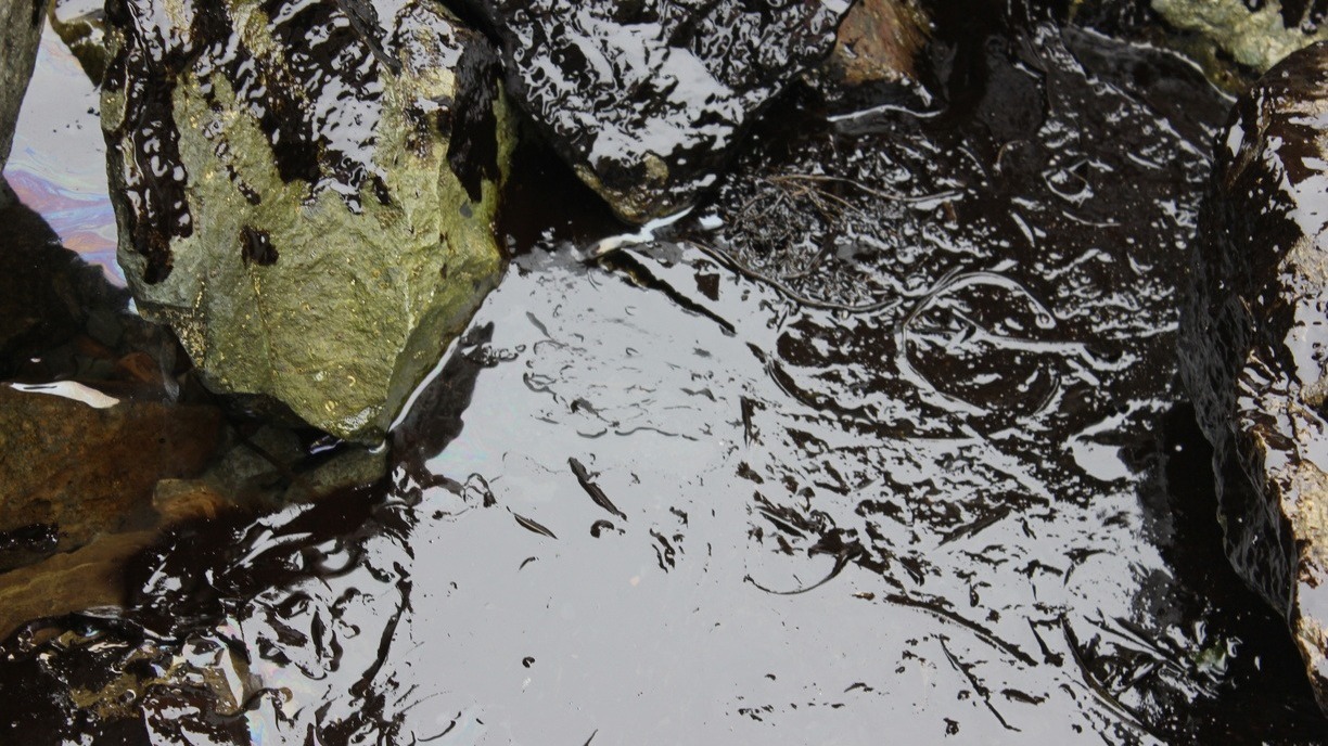 Ещё один разлив нефти обнаружили грибники в лесу под Нижневартовском