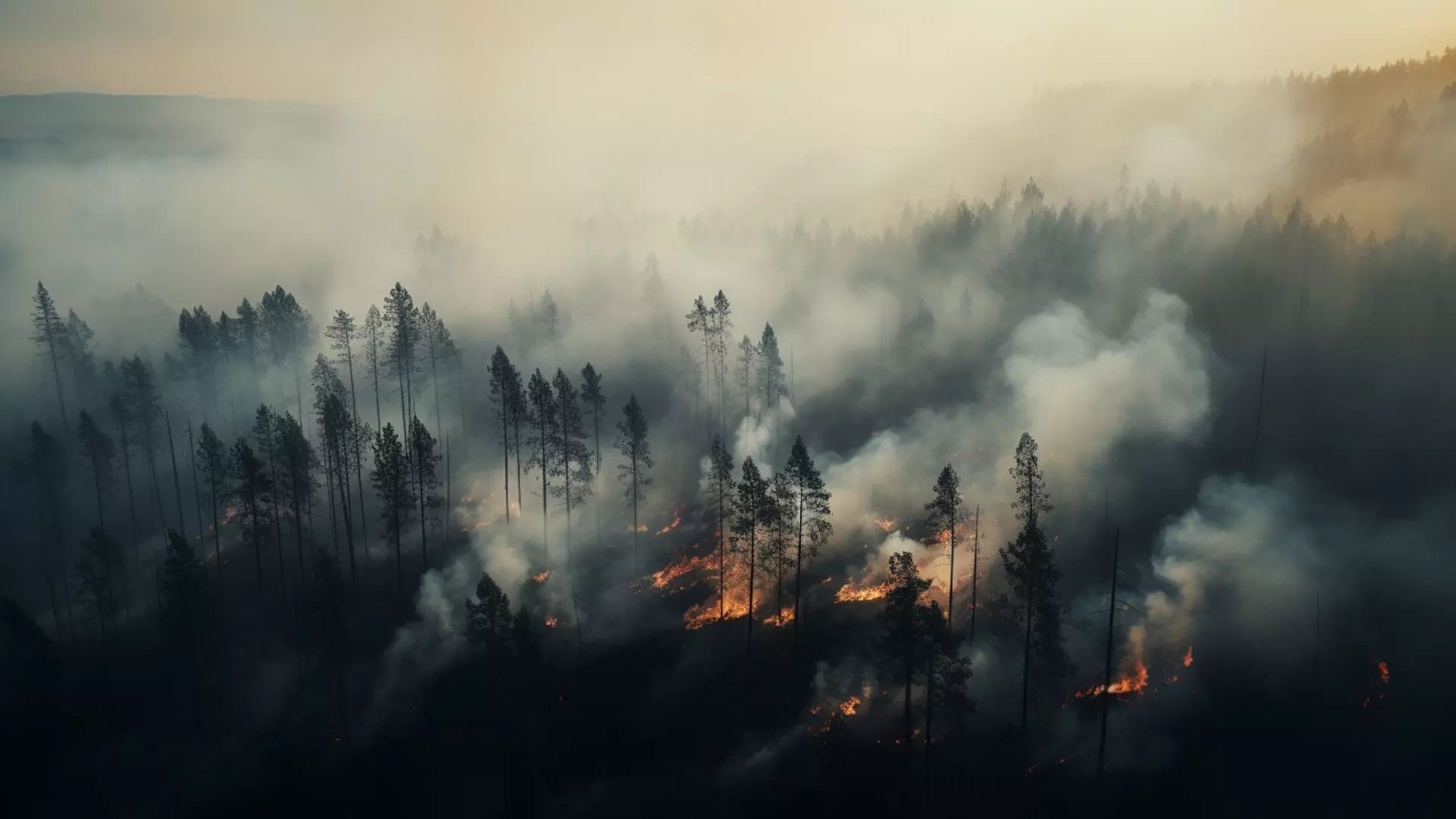 В Югре набирают добровольцев для борьбы с лесными пожарами