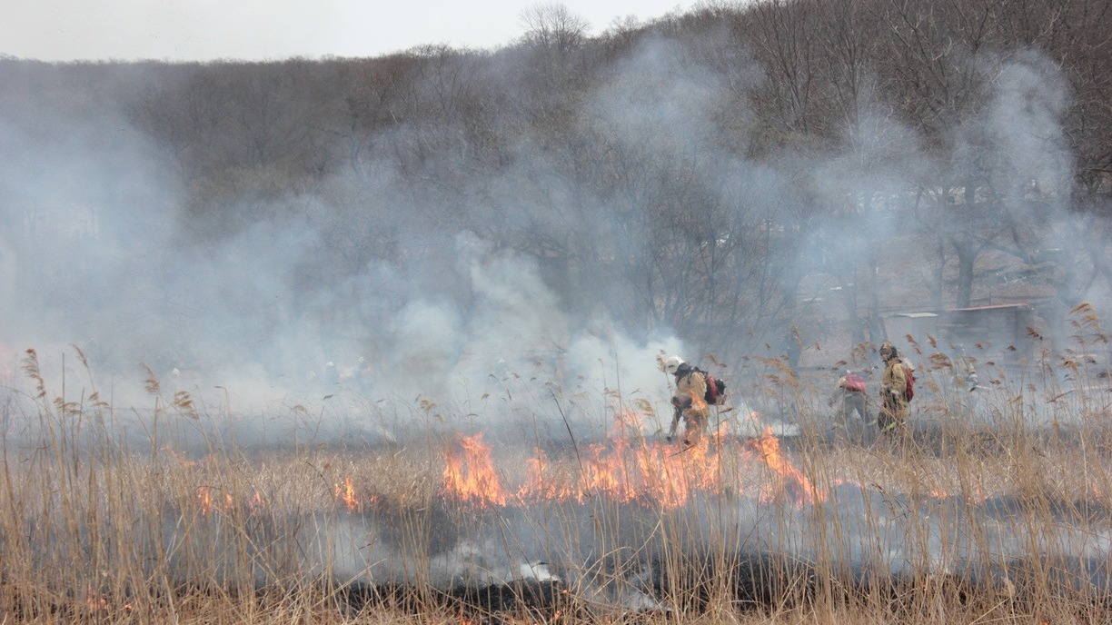 В Югре резко выросло количество лесных пожаров