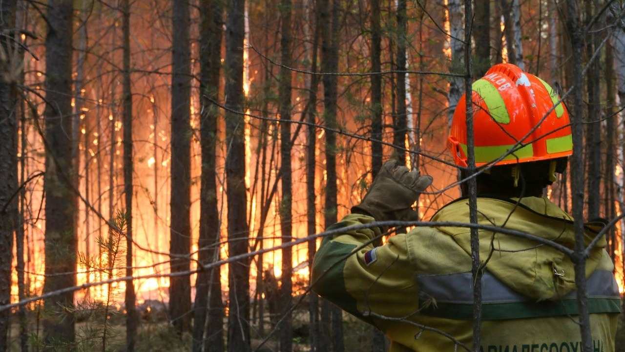 Власти ХМАО возьмут из резервного фонда более 120 млн рублей для борьбы с пожарами