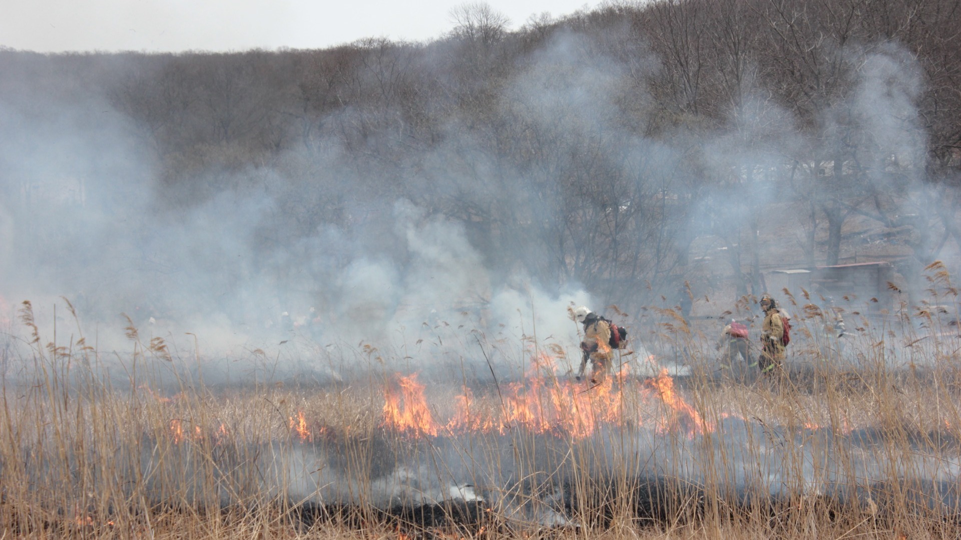В ХМАО ухудшилась ситуация с лесными пожарами