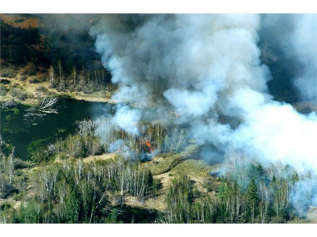 В лесах на Ямале бушуют новые пожары