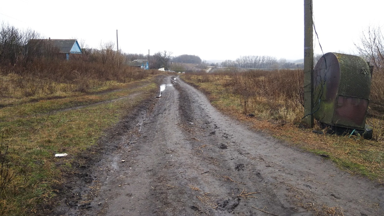 В Упоровском районе обнаружено множество мёртвых телят и коров