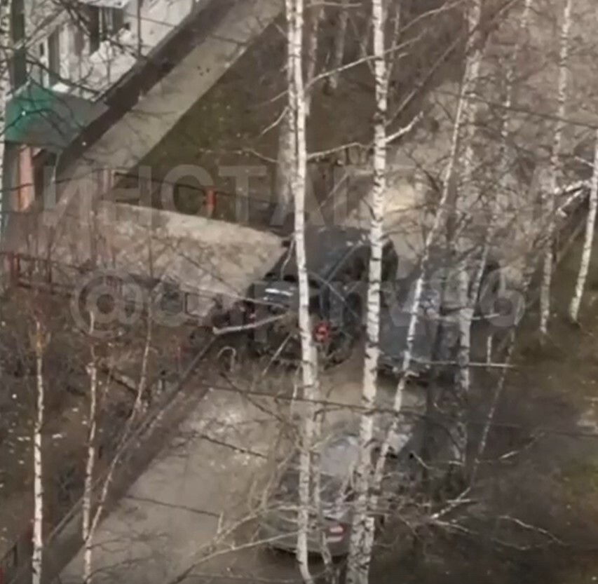 Жители Нижневартовска возмутились вырубкой деревьев во дворе жилого дома