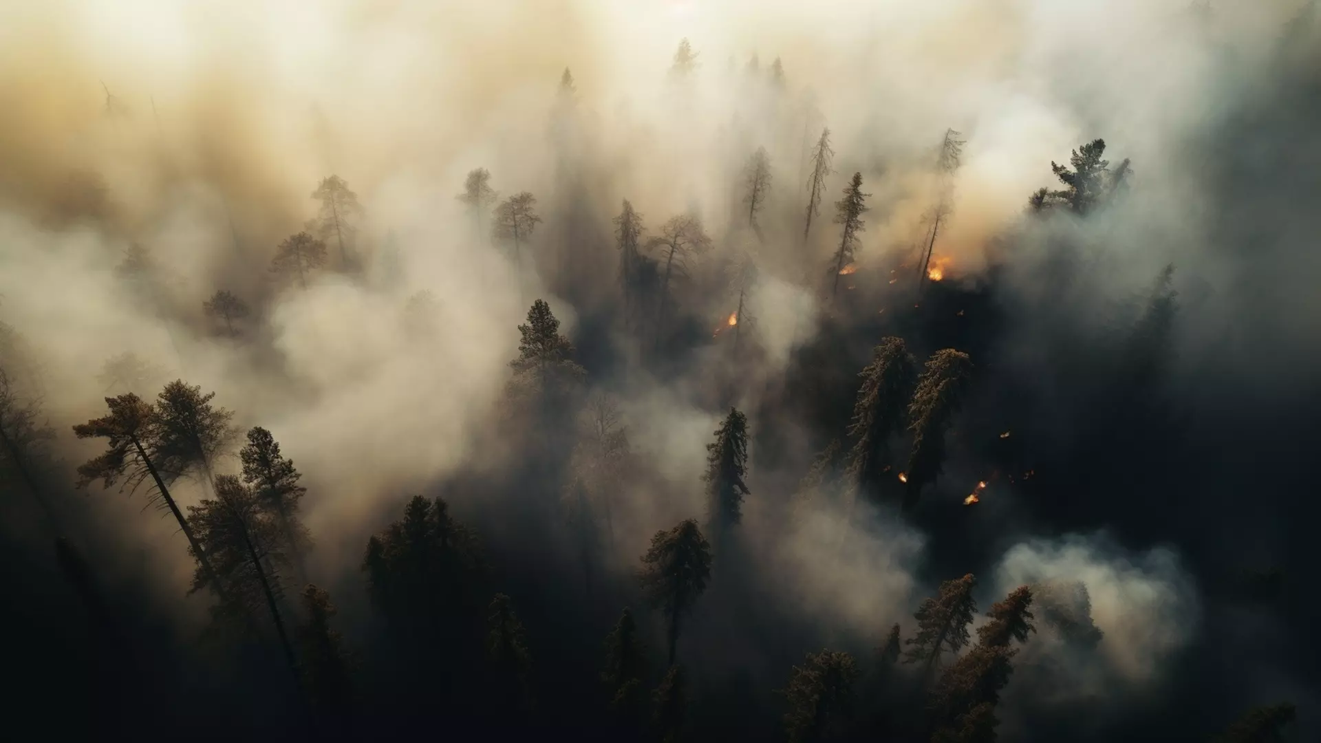 Площадь лесных пожаров, на которой проводились мероприятия по тушению возгораний во время ЧС, превысила 19,4 тысячи га.