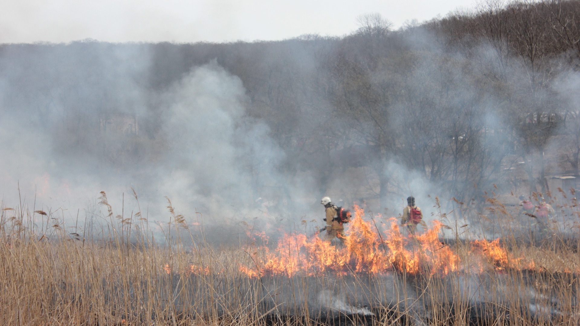 В Югре площадь природных пожаров за сутки выросла до 512 гектаров