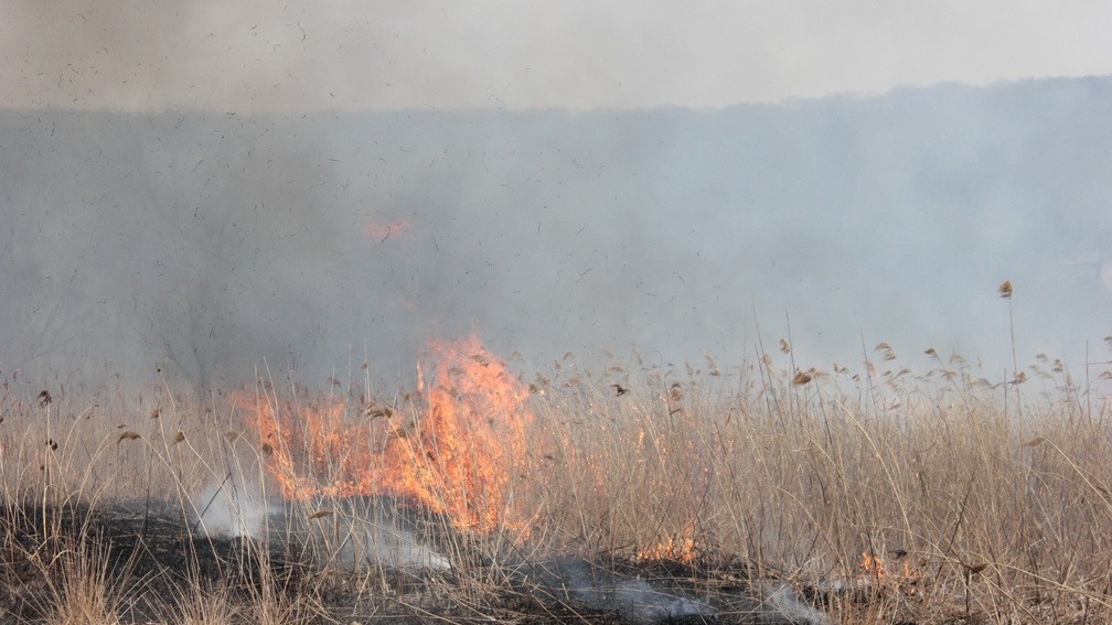 В окрестностях Мегиона случился крупный природный пожар