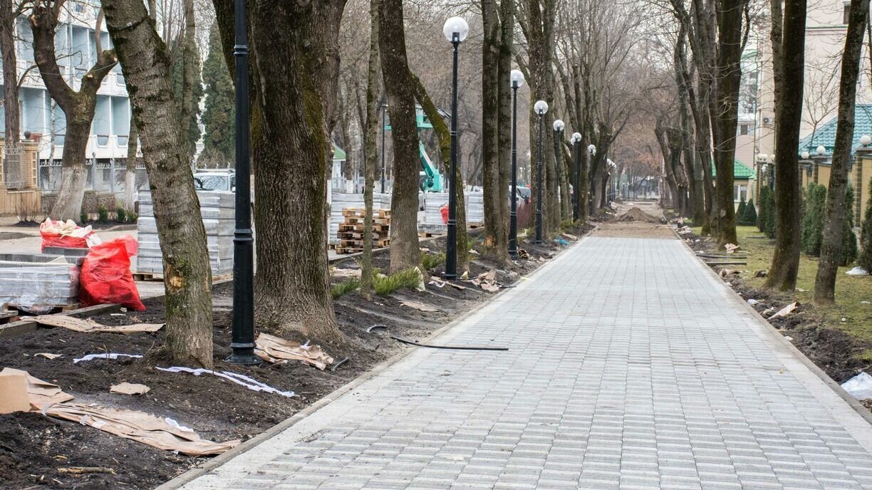 В Нижневартовске парки и скверы обработают от клещей