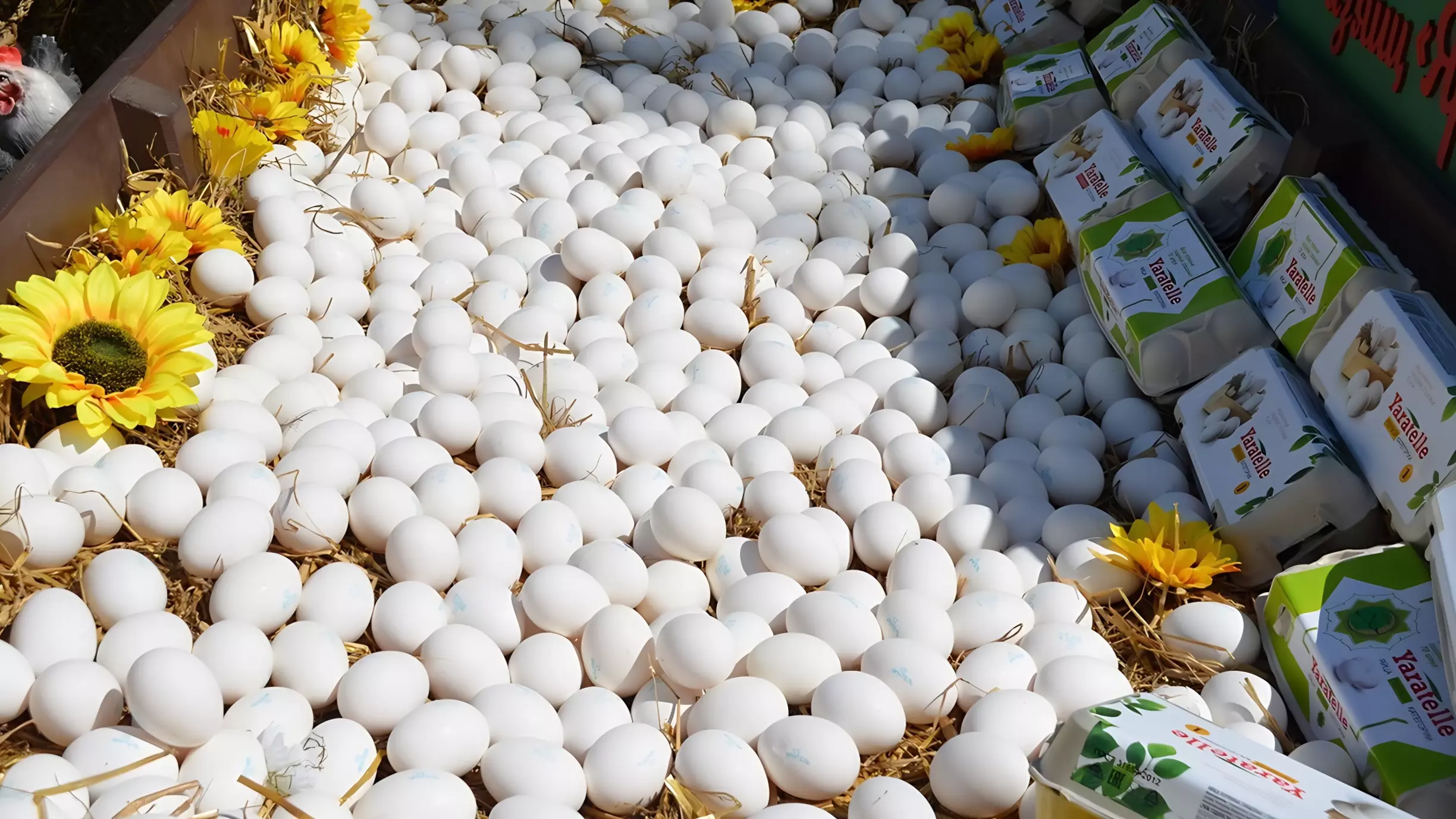 В Югре не нашли причин снижать цены на яйца и курицу
