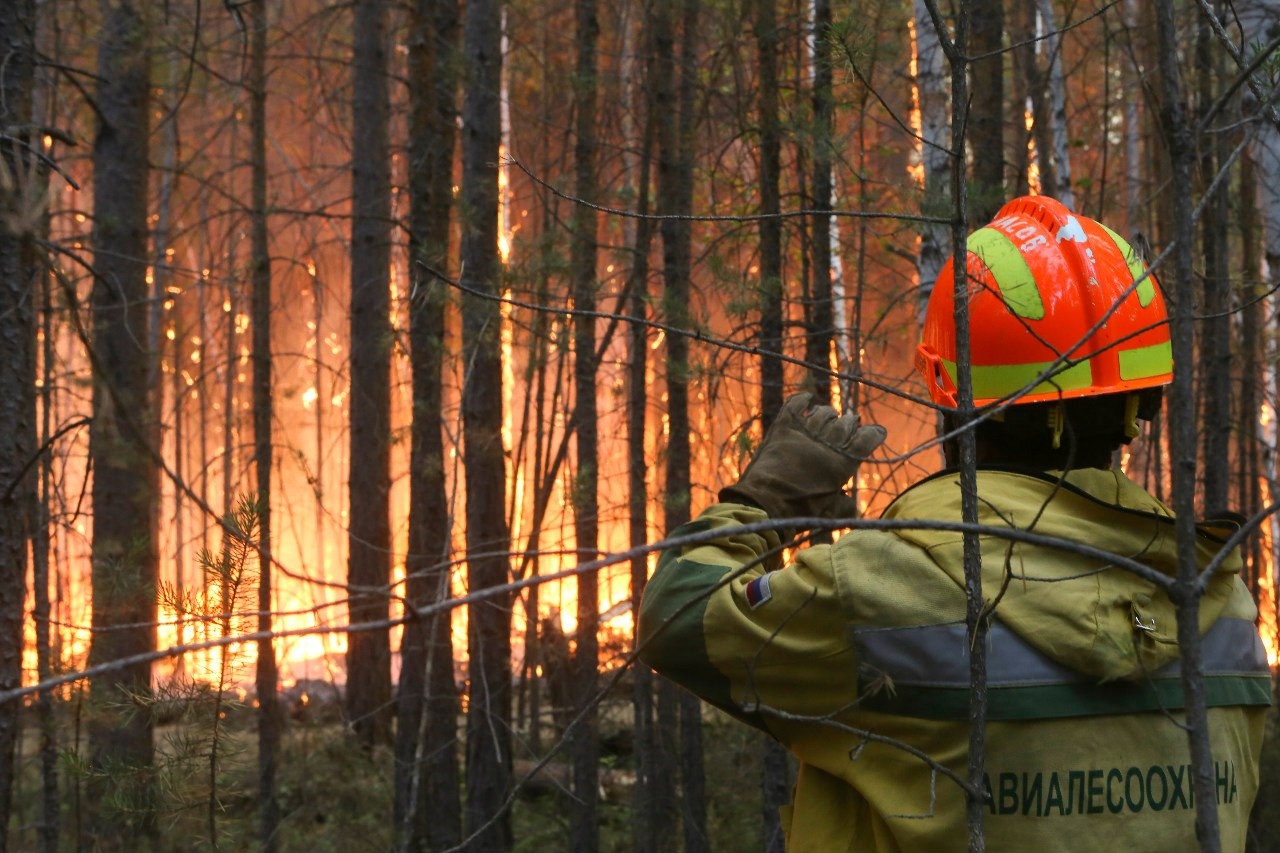 В ХМАО полыхают лесные пожары на площади почти 150 гектаров