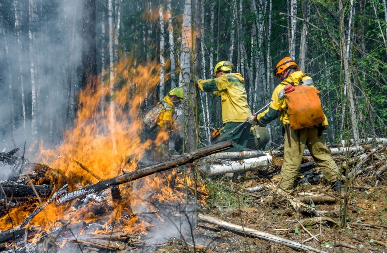 В ХМАО за сутки ликвидировали три лесных пожара площадью 74,8 га