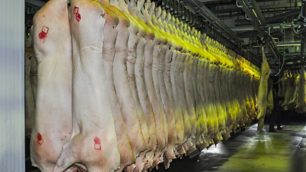 Дефицит импортного мяса в магазинах Сургута устранят местные фермеры