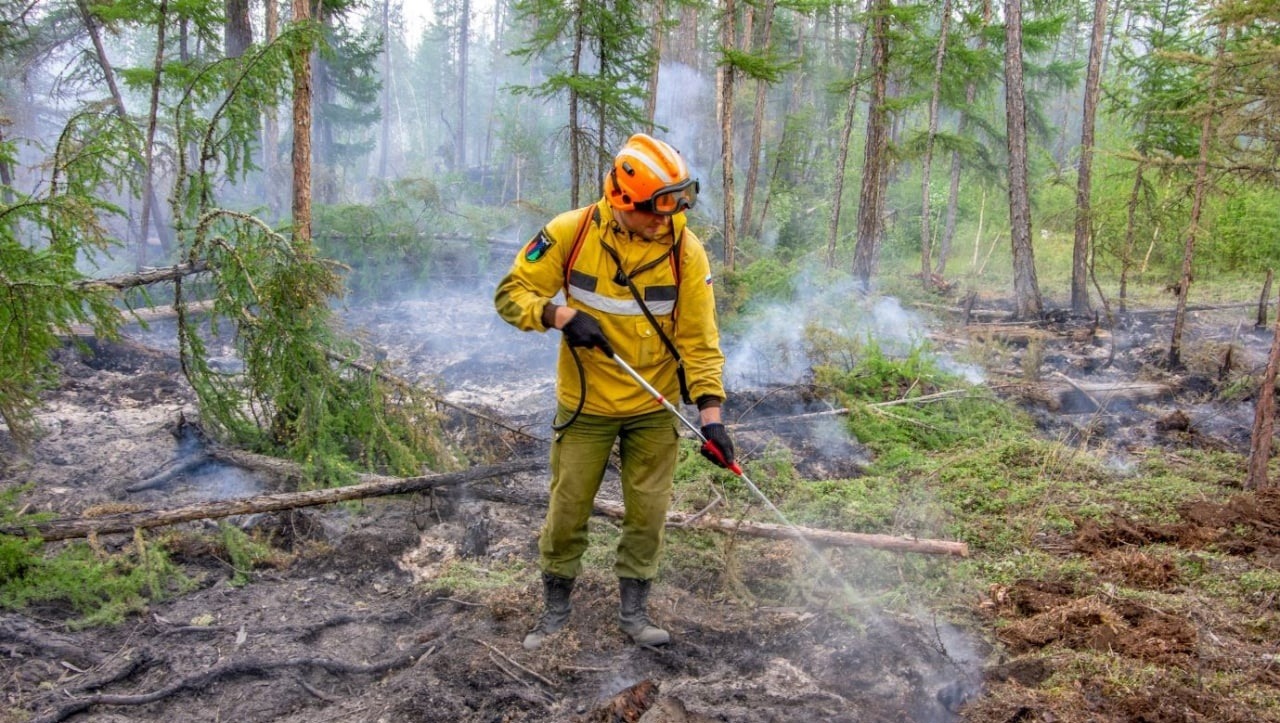 Леса — горят, контракты — опаздывают: власти ХМАО объявили закупки на фоне лесных пожаров