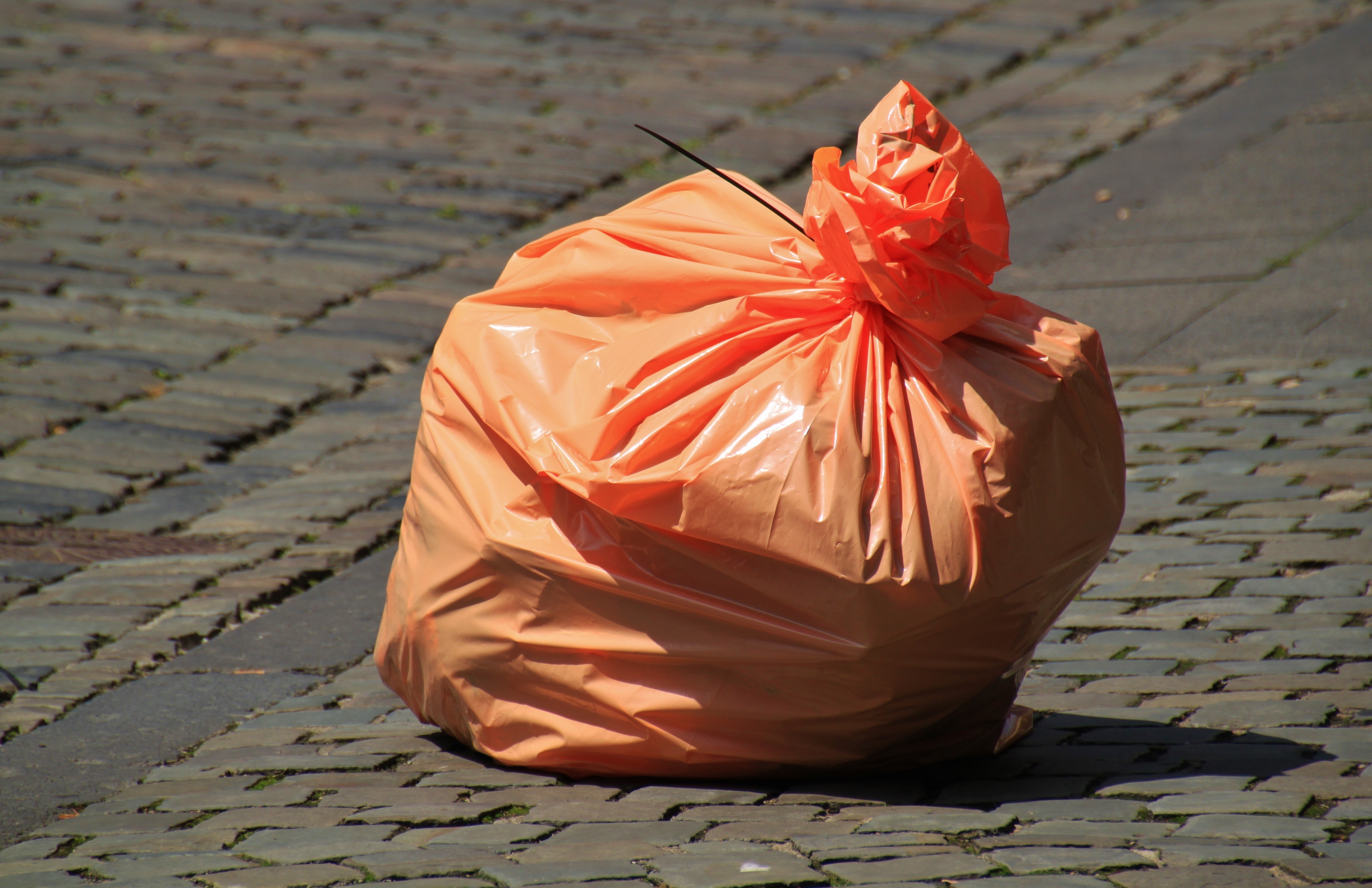 В ХМАО три девушки сами очистили набережную от мусора