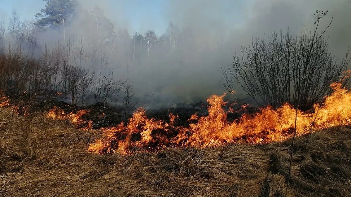 Смог из-за лесных пожаров в ХМАО накрыл Салехард