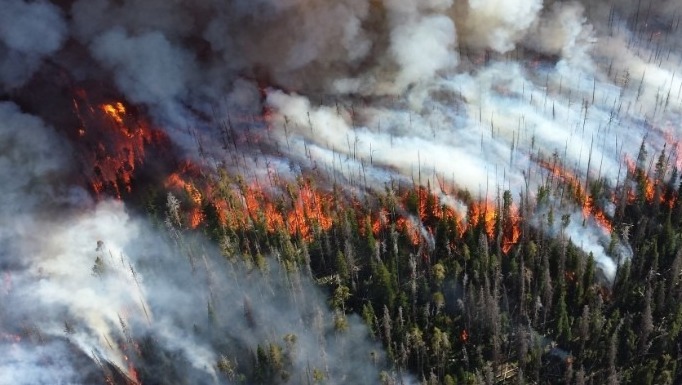 За сутки площадь лесных пожаров в ХМАО выросла на 5,5 тысячи га
