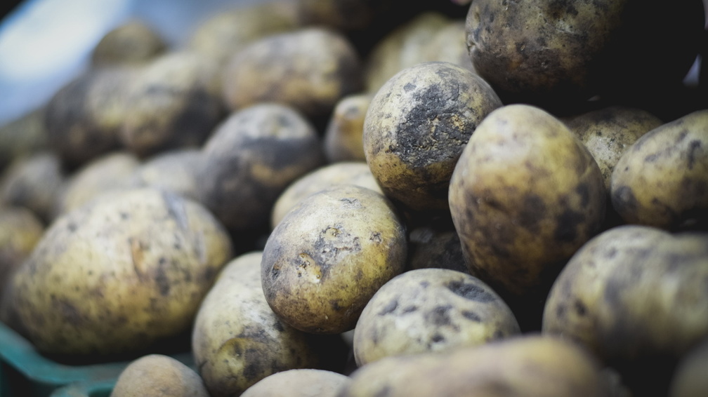 В России производители заявили о возможном дефиците картофеля