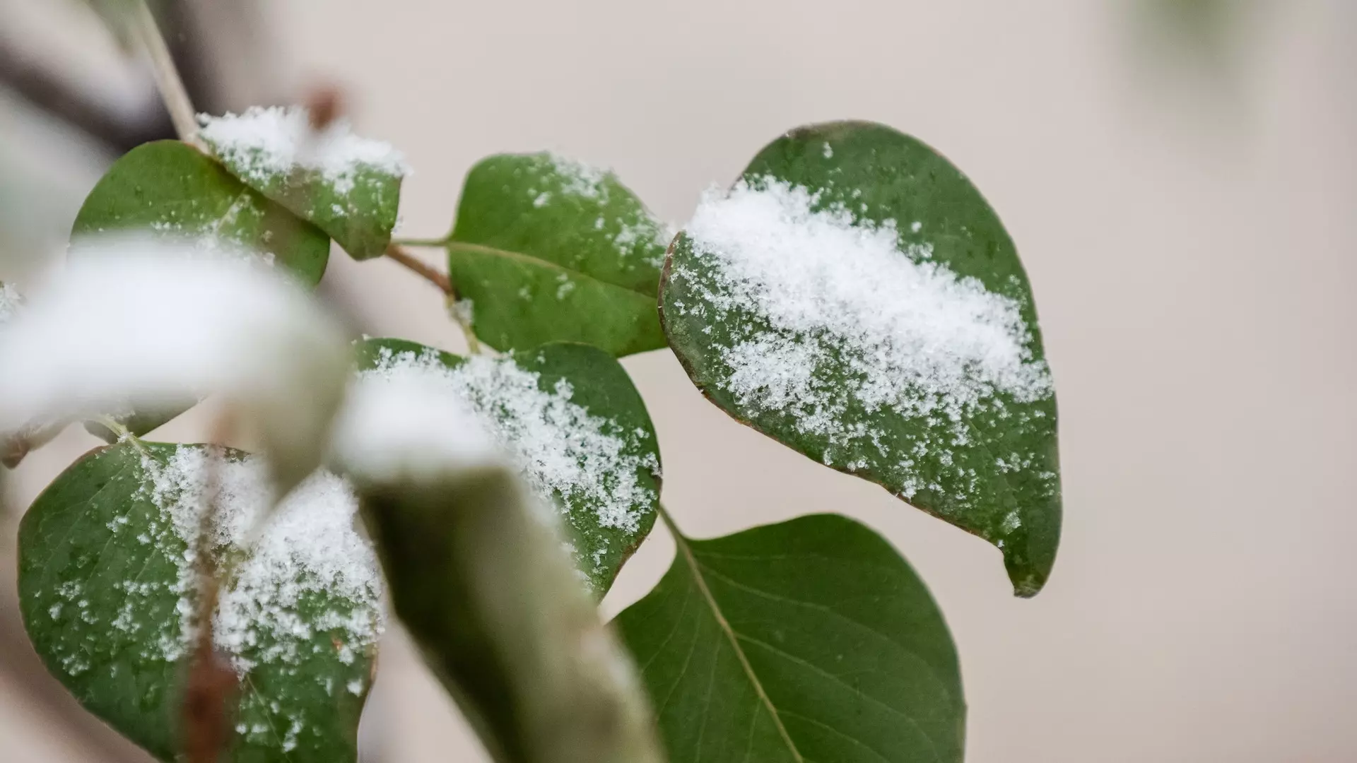 В ХМАО ожидается мокрый снег и нулевая температура