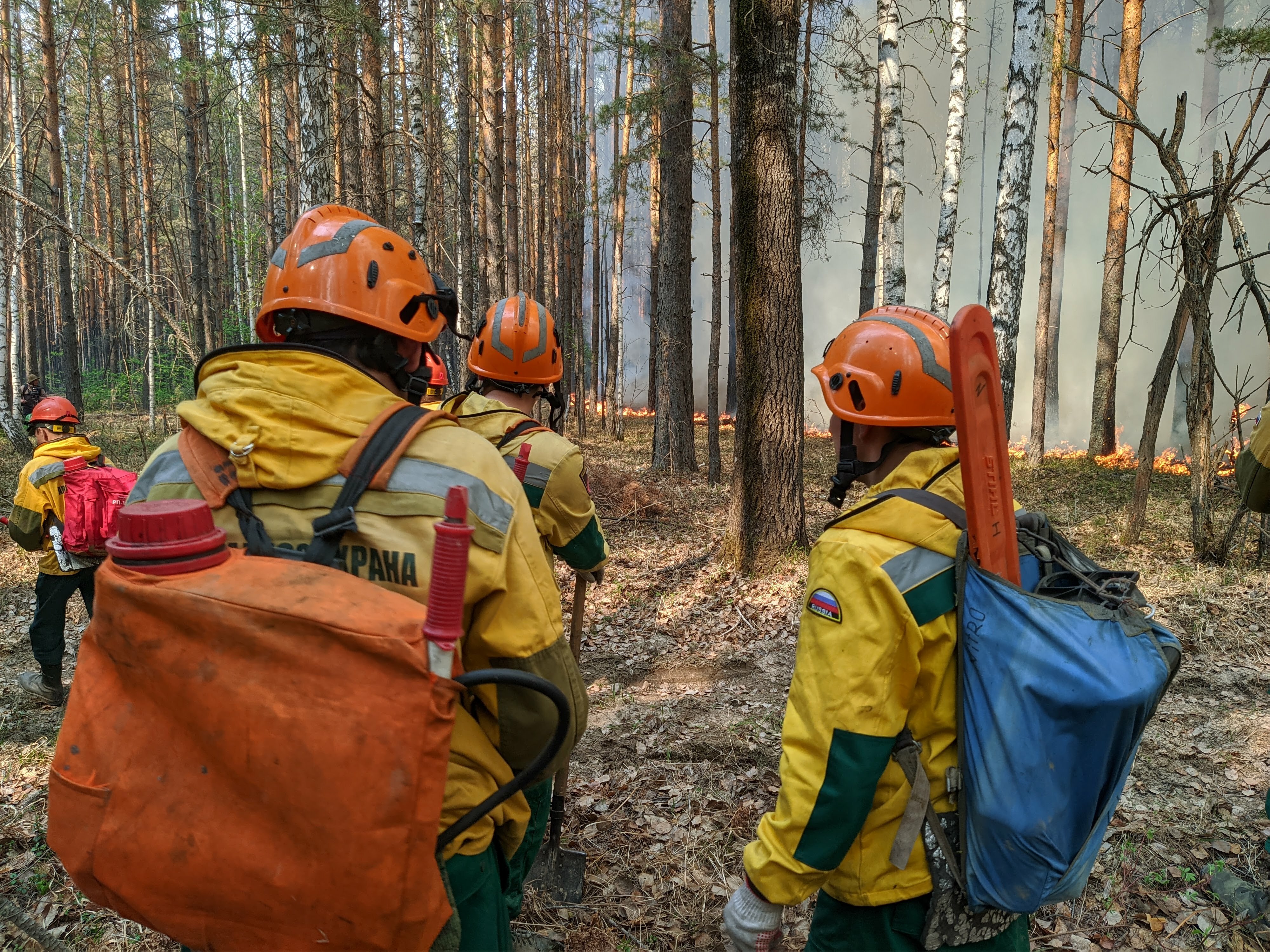 Тюменской области понадобились пожарные из ЯНАО для тушения лесов
