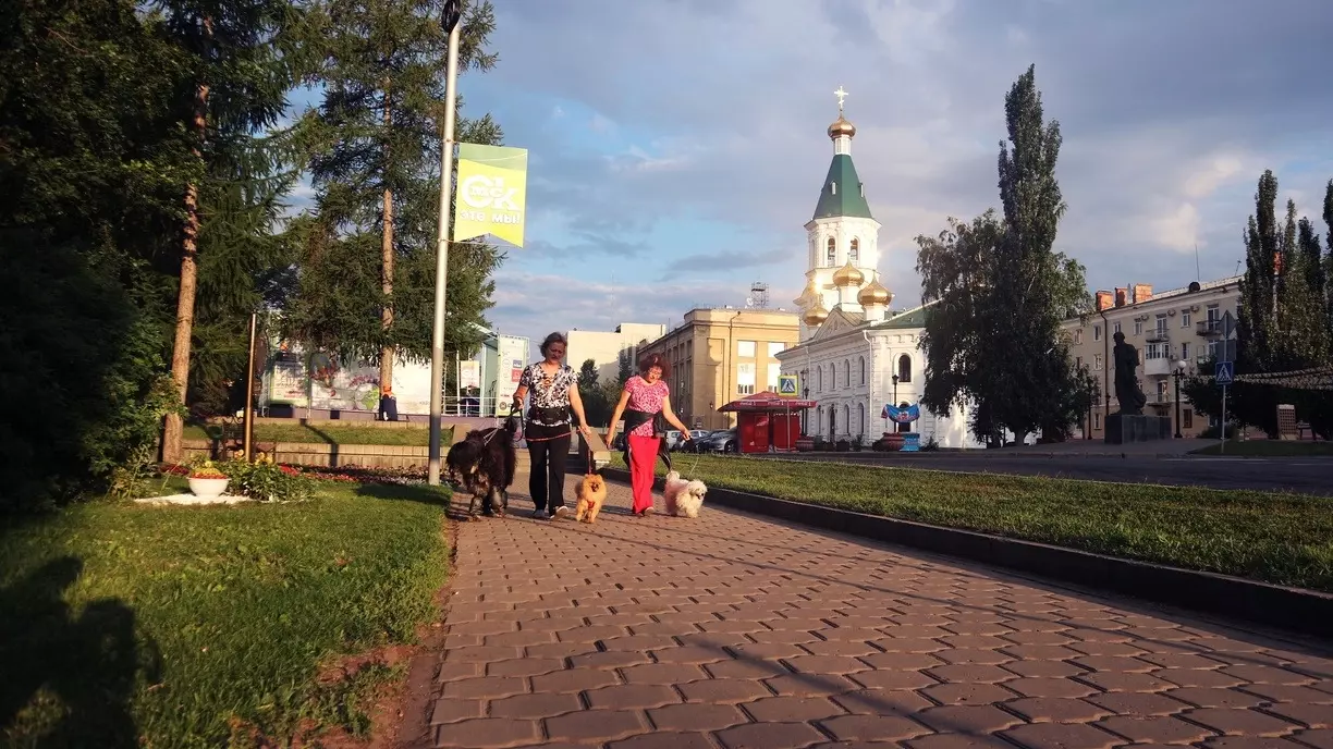 В Ханты-Мансийске построят современные площадки для выгула собак