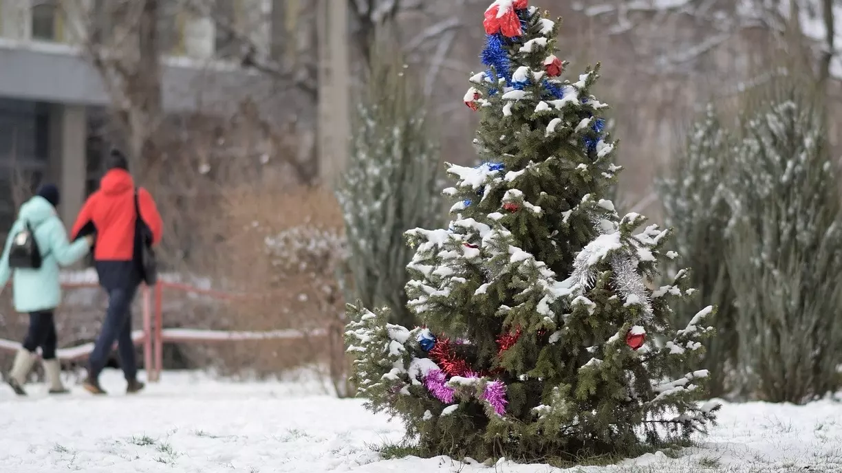 Страшные новогодние елки и самый тихий Новый год: итоги дня в ХМАО