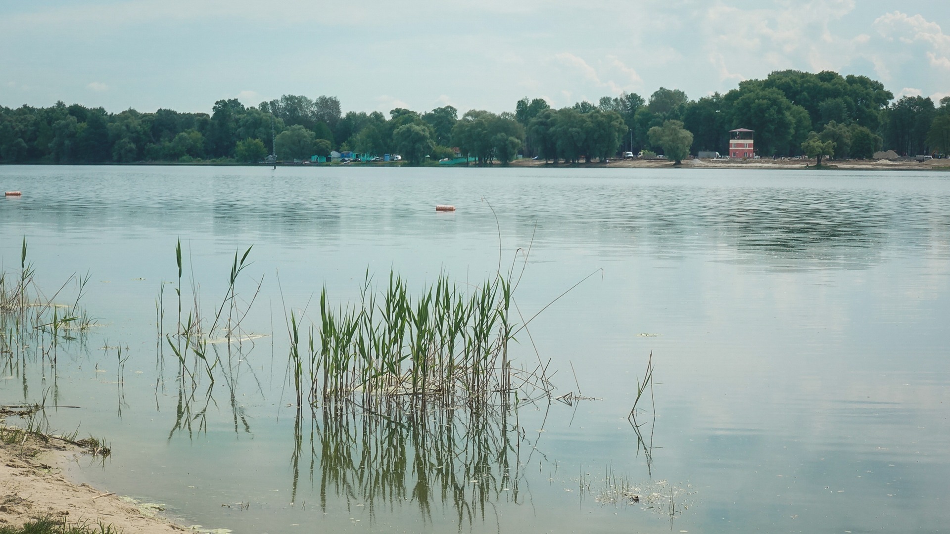Жители Сургута продолжают купаться в запрещённых водоемах
