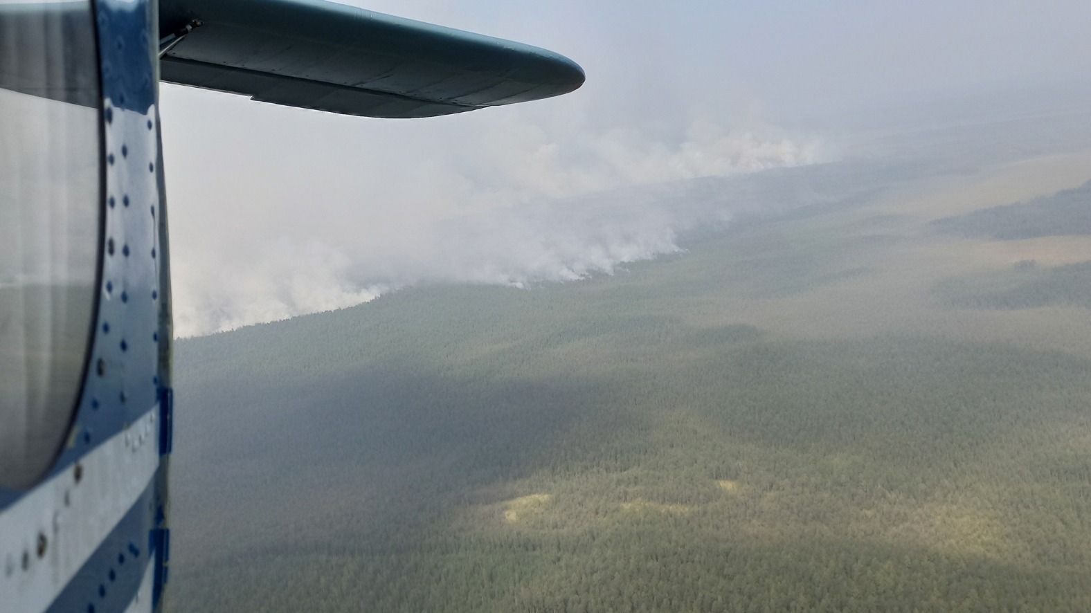 Площадь лесных пожаров в Югре выросла в шесть раз