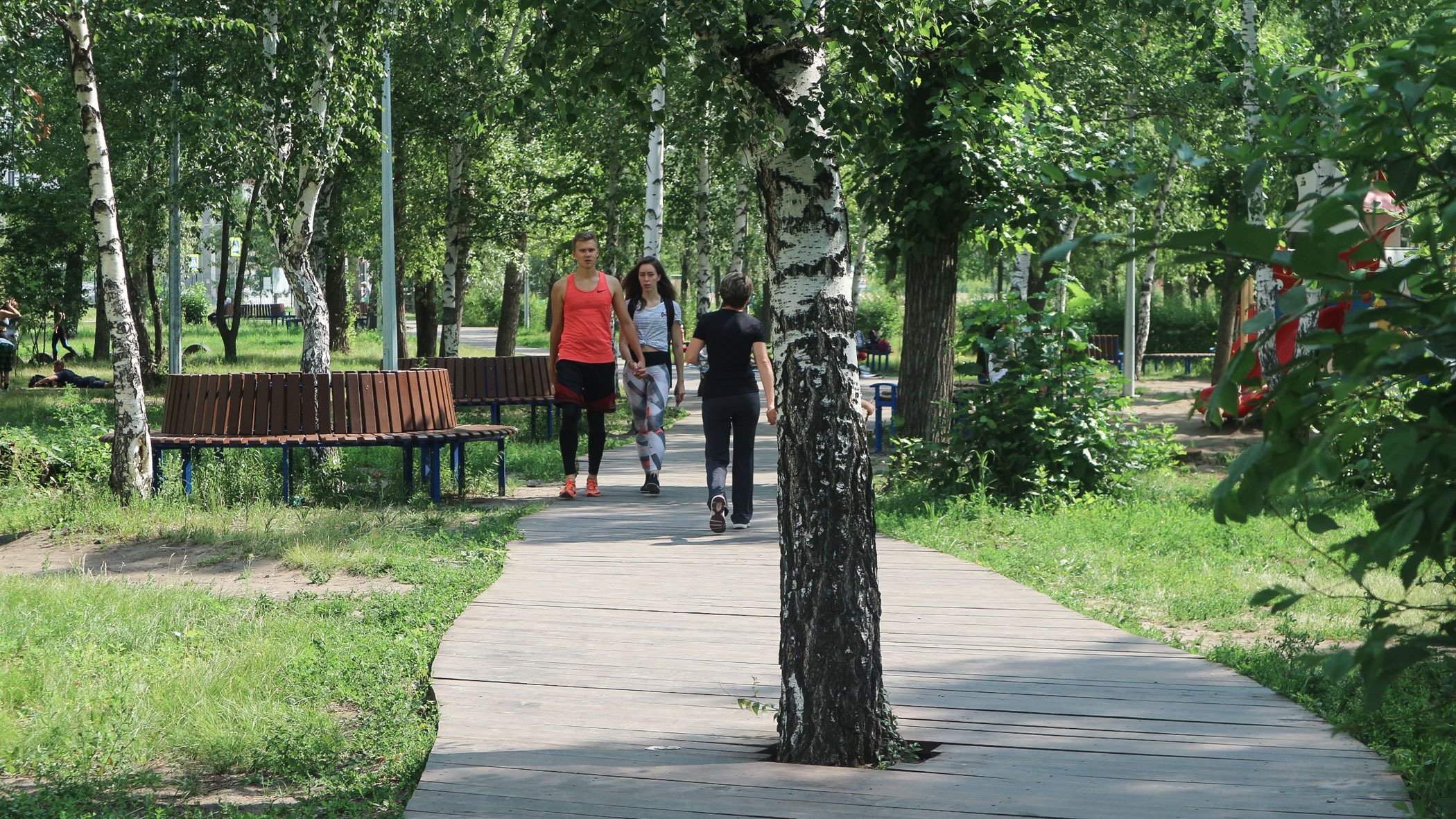 Жителям Сургута не хватает хороших дорог, туалетов, мусорных баков и деревьев