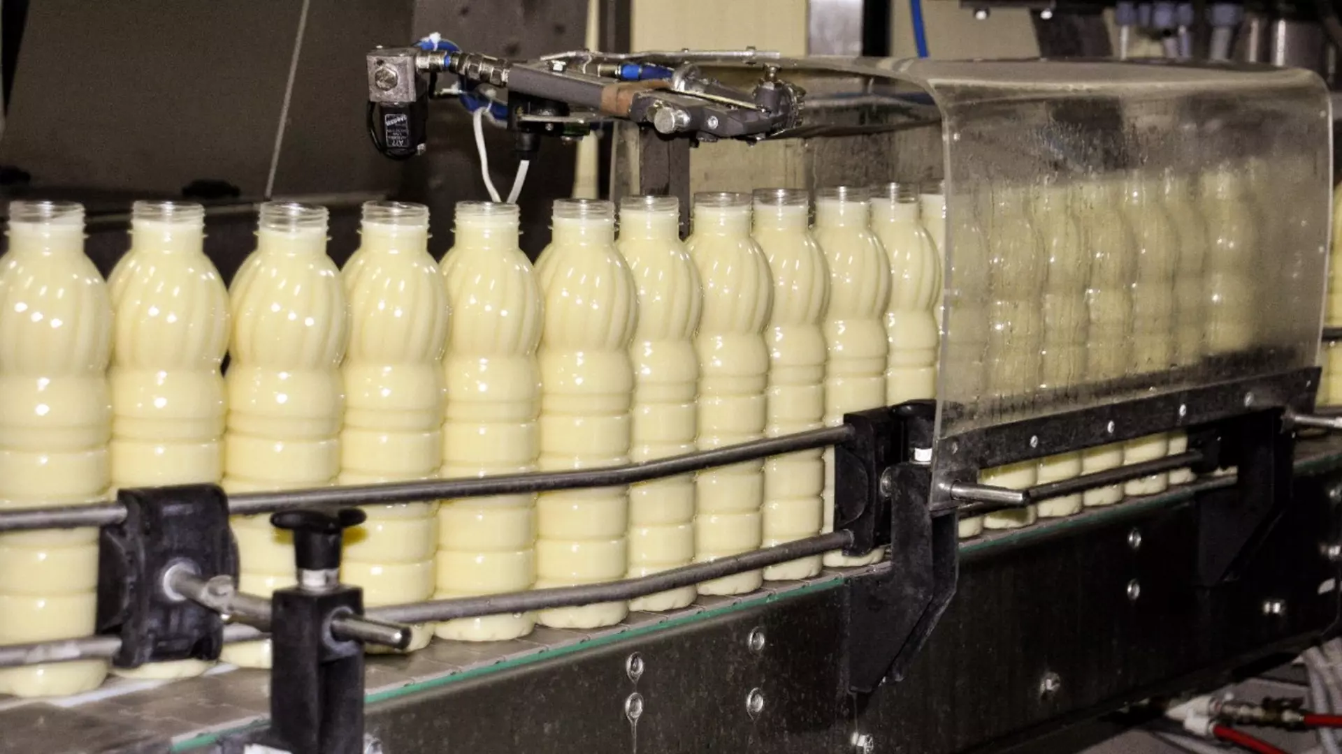 Завод в ХМАО указал неверный срок годности молока