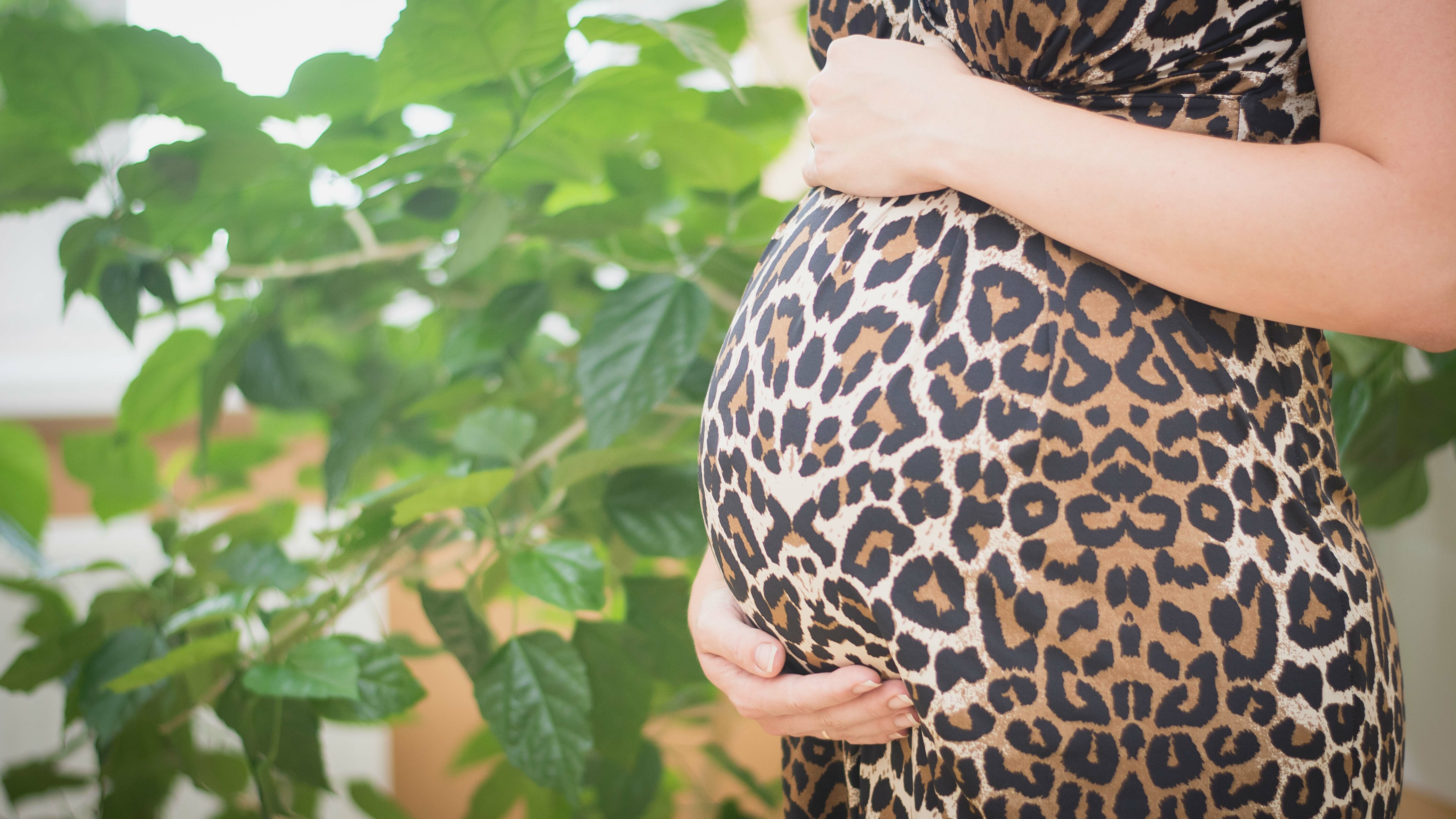 В ХМАО суррогатное материнство запретят для иностранцев