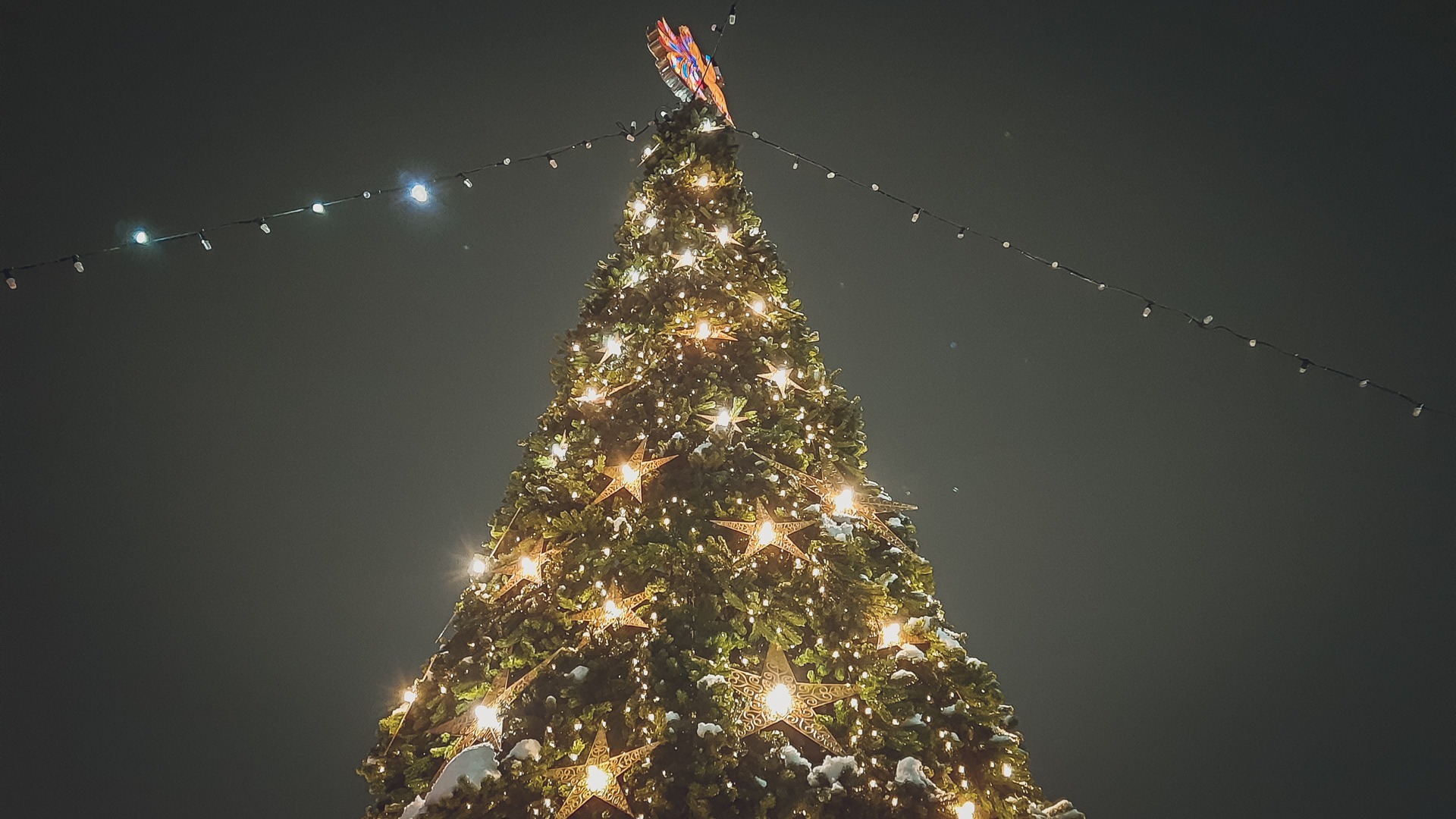 Готовь Новый год с лета: в столице ХМАО заказали праздничную елку