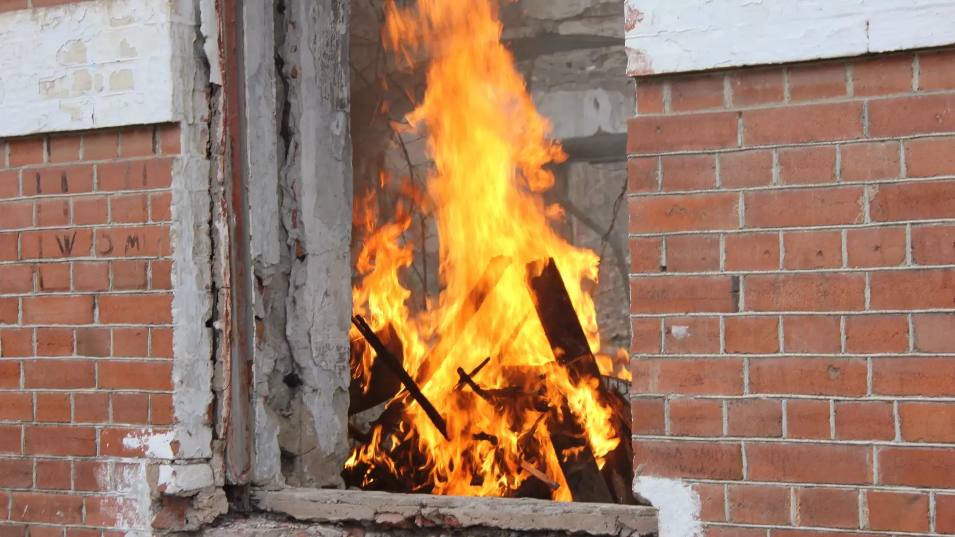 Пожарные опубликовали снимки дачного дома, где в огне пострадала женщина. 