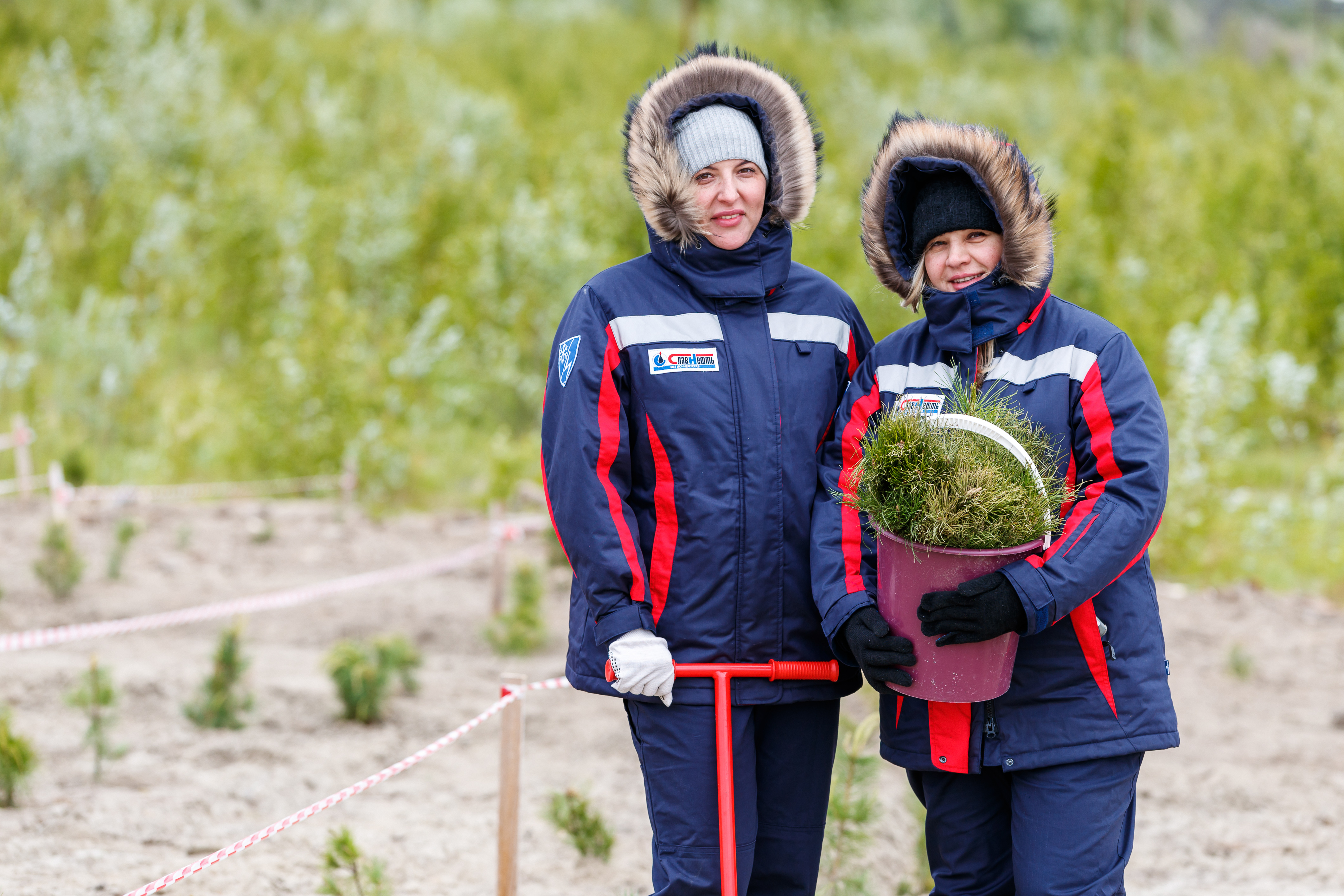 Сотрудники «Мегионнефтегаза» посадили тысячу кедров в Нижневартовском районе