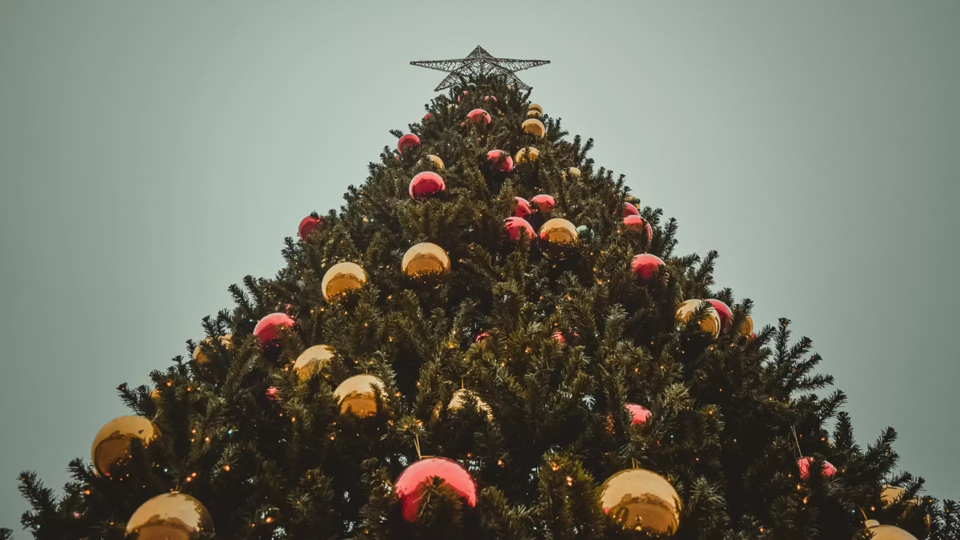 В городе ХМАО уже поставили новогоднюю елку