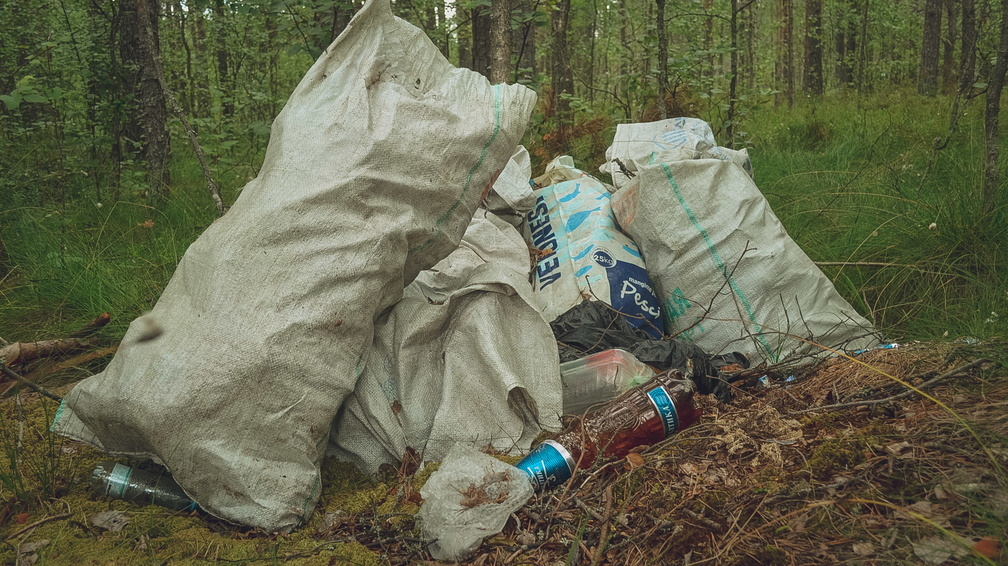 Администрацию Октябрьского района ХМАО обязали убрать мусор в лесу