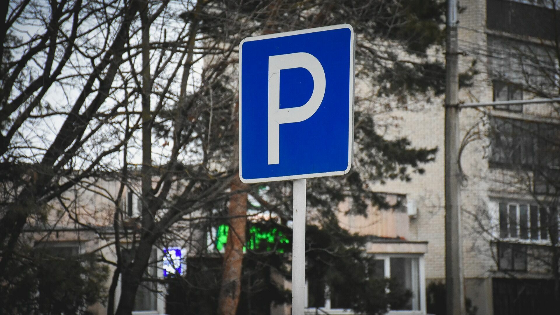 Городские парковки в Сургуте могут отдать частникам