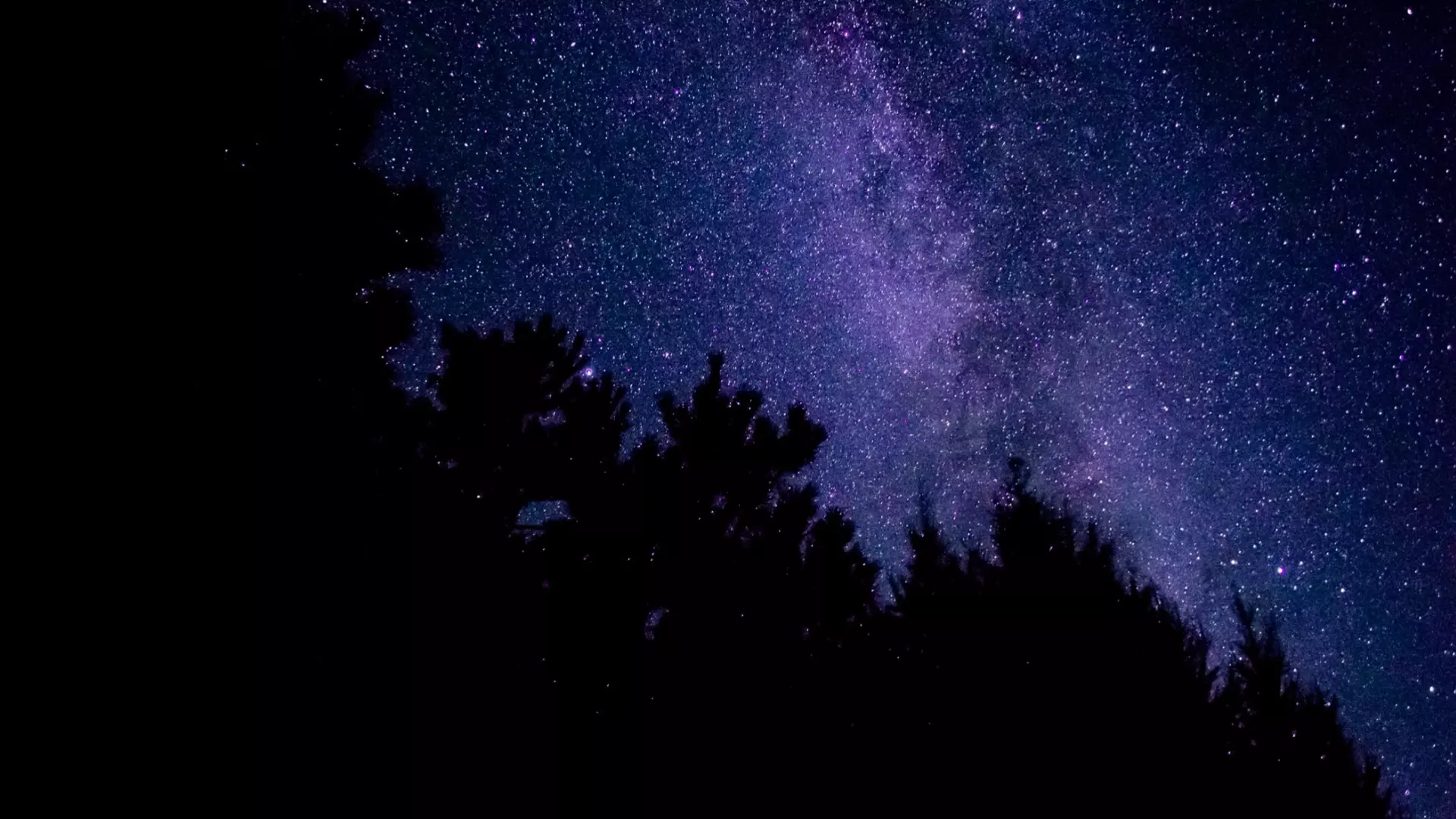 Жители ХМАО смогут увидеть зрелищный звездопад в эти выходные