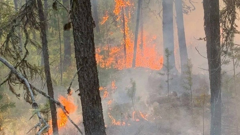 «Страшно смотреть»: Лесные пожары в ХМАО прокомментировала Ксения Собчак