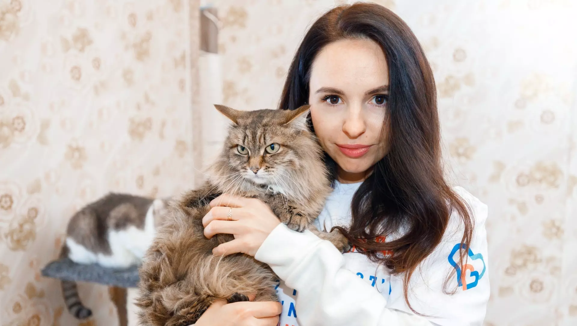 В Югре волонтеры обустроили приют для кошек