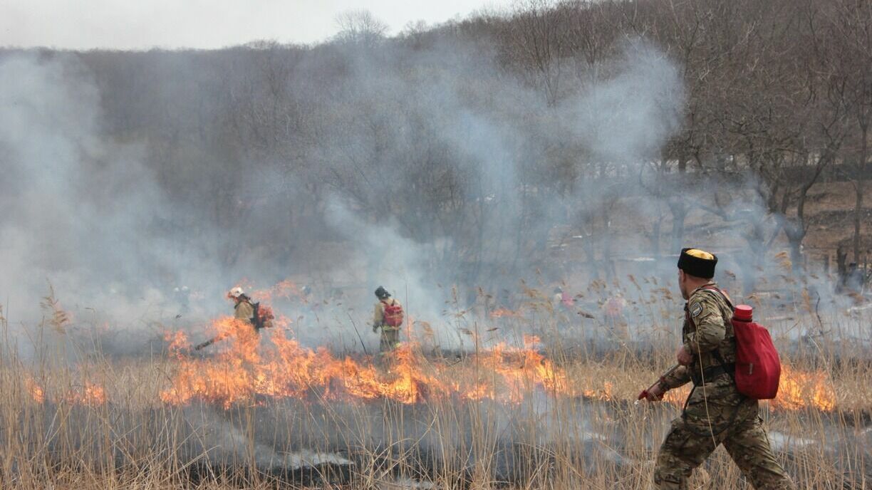 В ХМАО защищать леса от пожаров будут более полутора тысяч человек