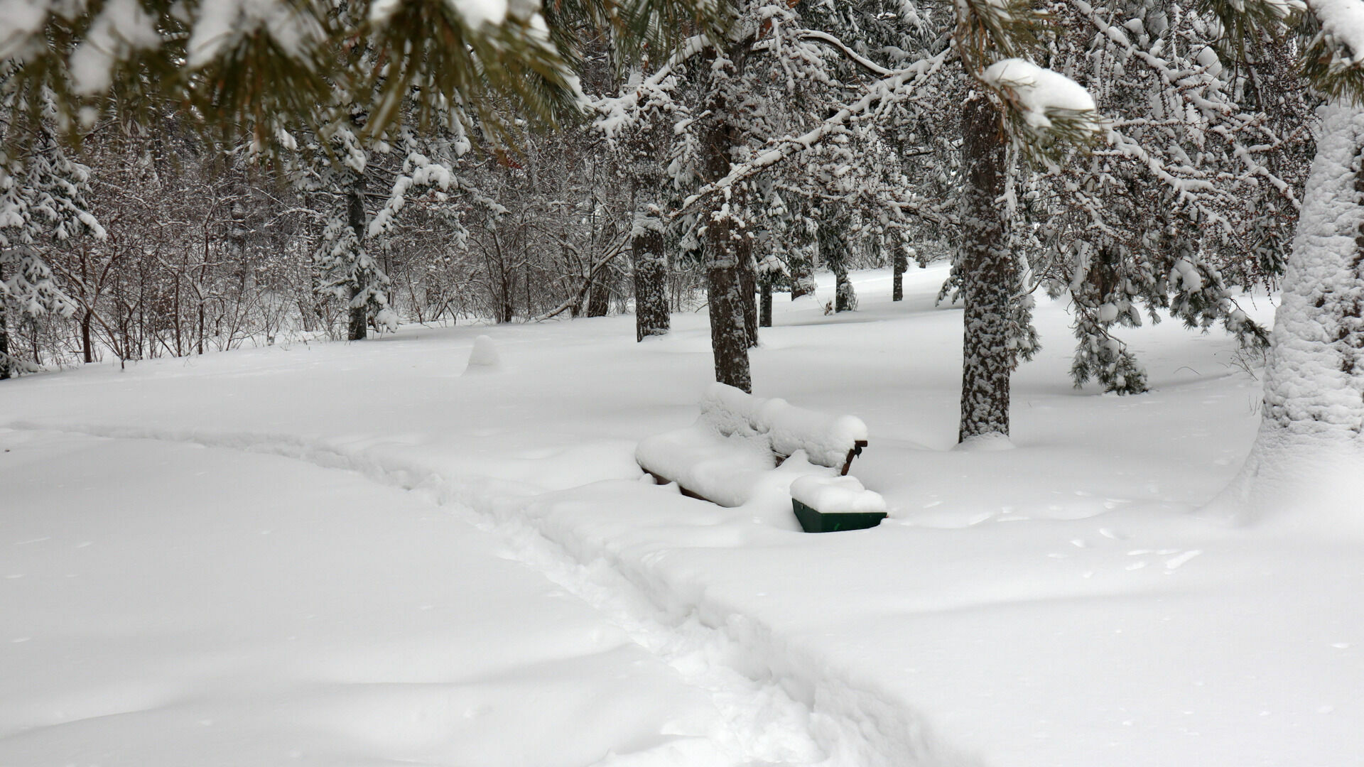 В ХМАО высота снежного покрова зимой превышала норму в 2 раза