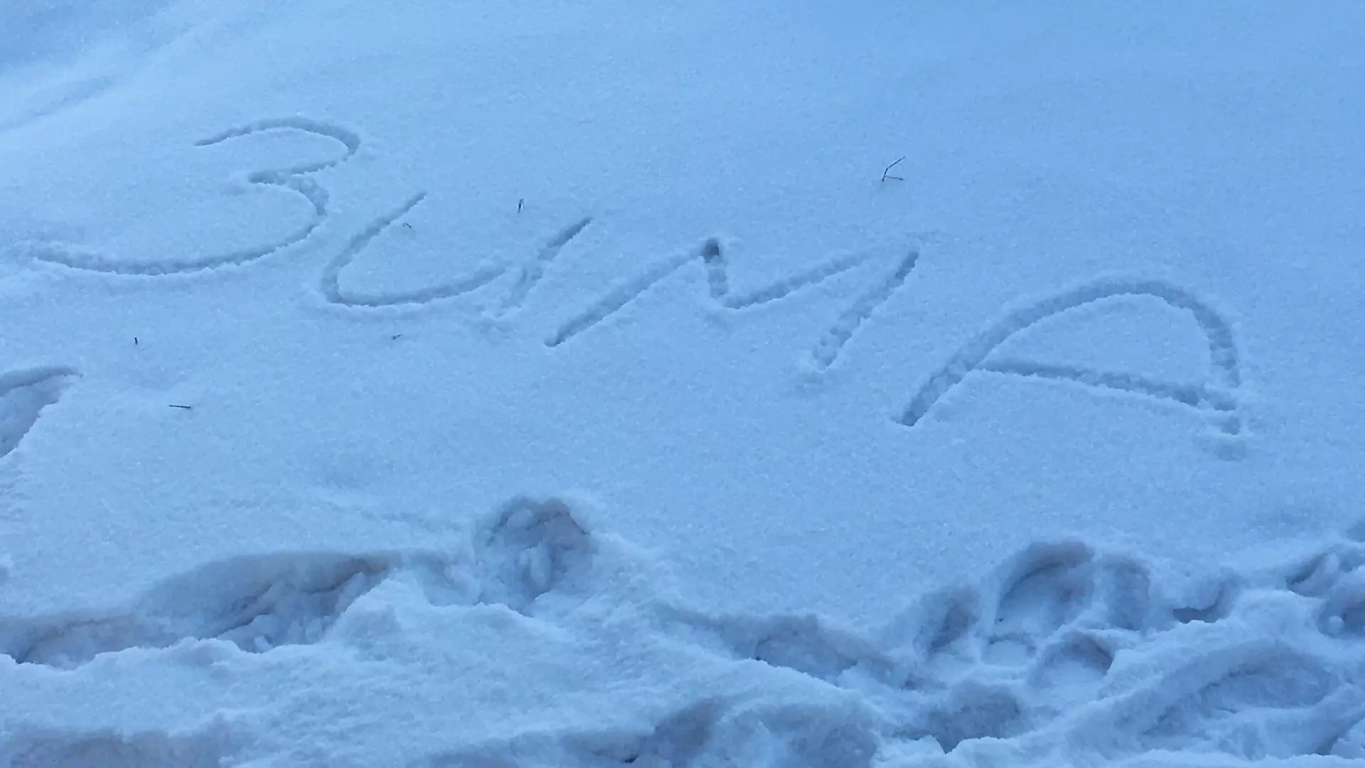 «Зима пришла неожиданно». Дорожников в ХМАО высмеяли из-за укладки асфальта в снег