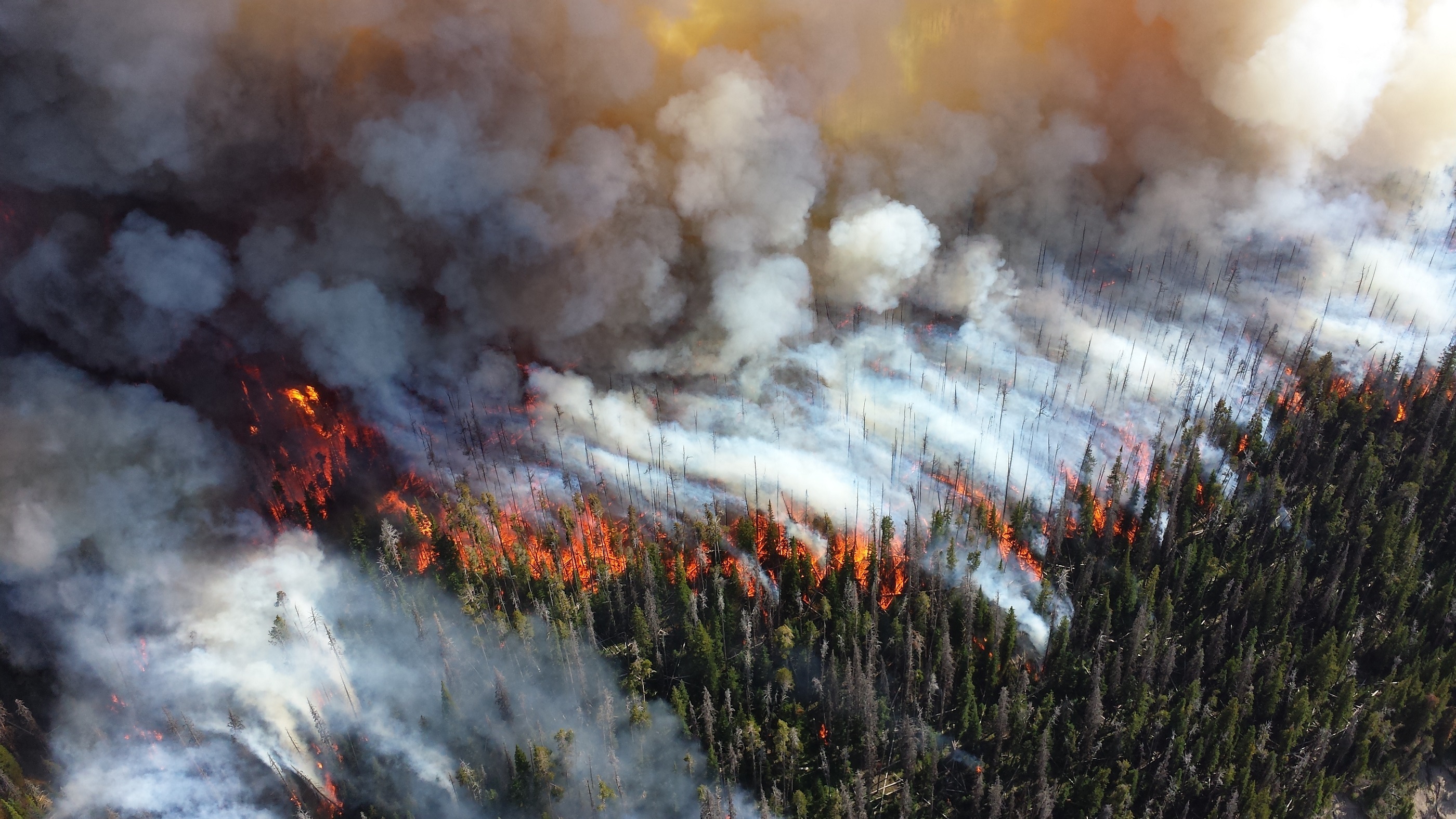 Западные территории ХМАО заволокло дымом от лесных пожаров