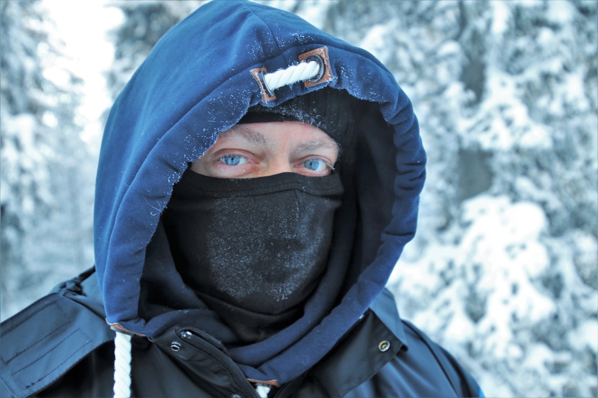 В Красноярск на рабочей неделе придут морозы до -31 градуса
