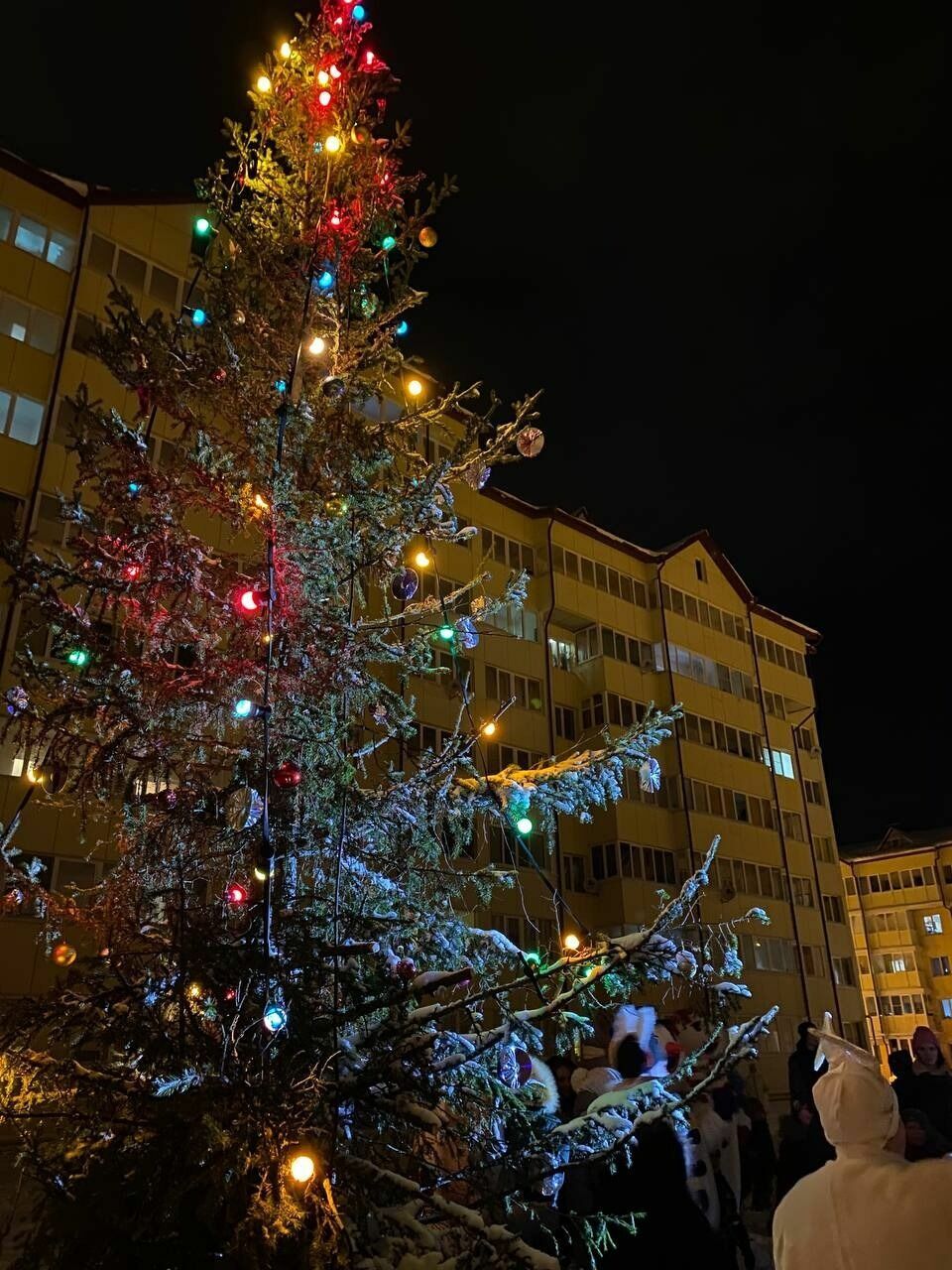 Акция «Новый год в каждый двор» в Югорске